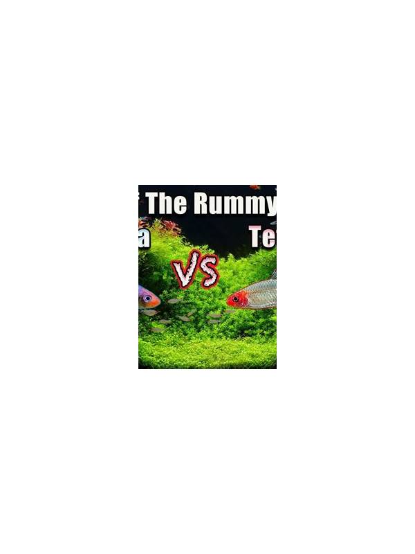 Rummy Comparison: Completing Quickly Versus Reducing Exposure