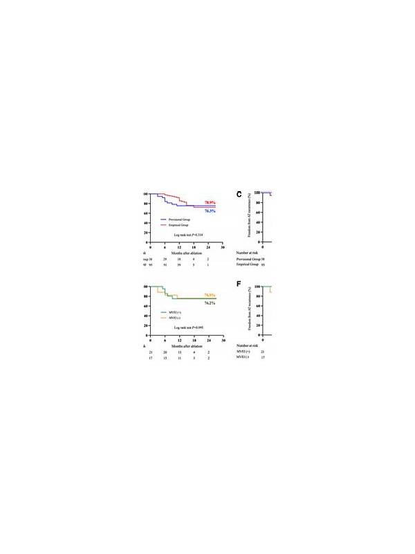 Rummy Comparison: Natural Groups Versus Provisional Groups