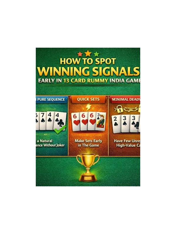 Rummy Opponent Information: Facts, Signals, and Guesses